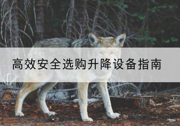 五通桥升降货梯厂家推荐-*安全选购升降设备指南