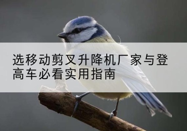 五通桥电动升降机厂家-选移动剪叉升降机厂家与登高车必看实用指南