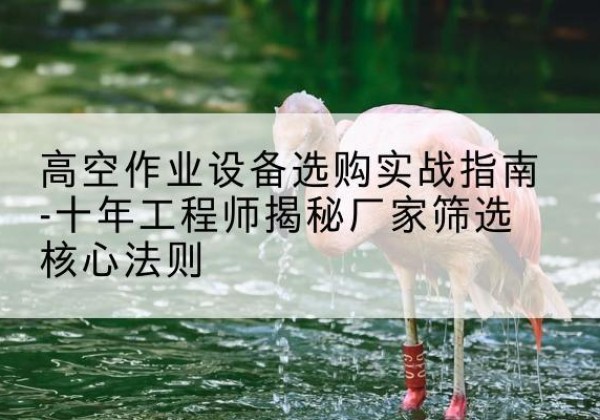 五通桥剪叉式升降机厂家-高空作业设备选购实战指南-十年工程师揭秘厂家筛选核心法则