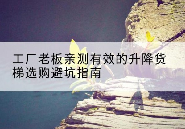 五通桥升降货梯怎么选-工厂老板亲测有效的升降货梯选购避坑指南